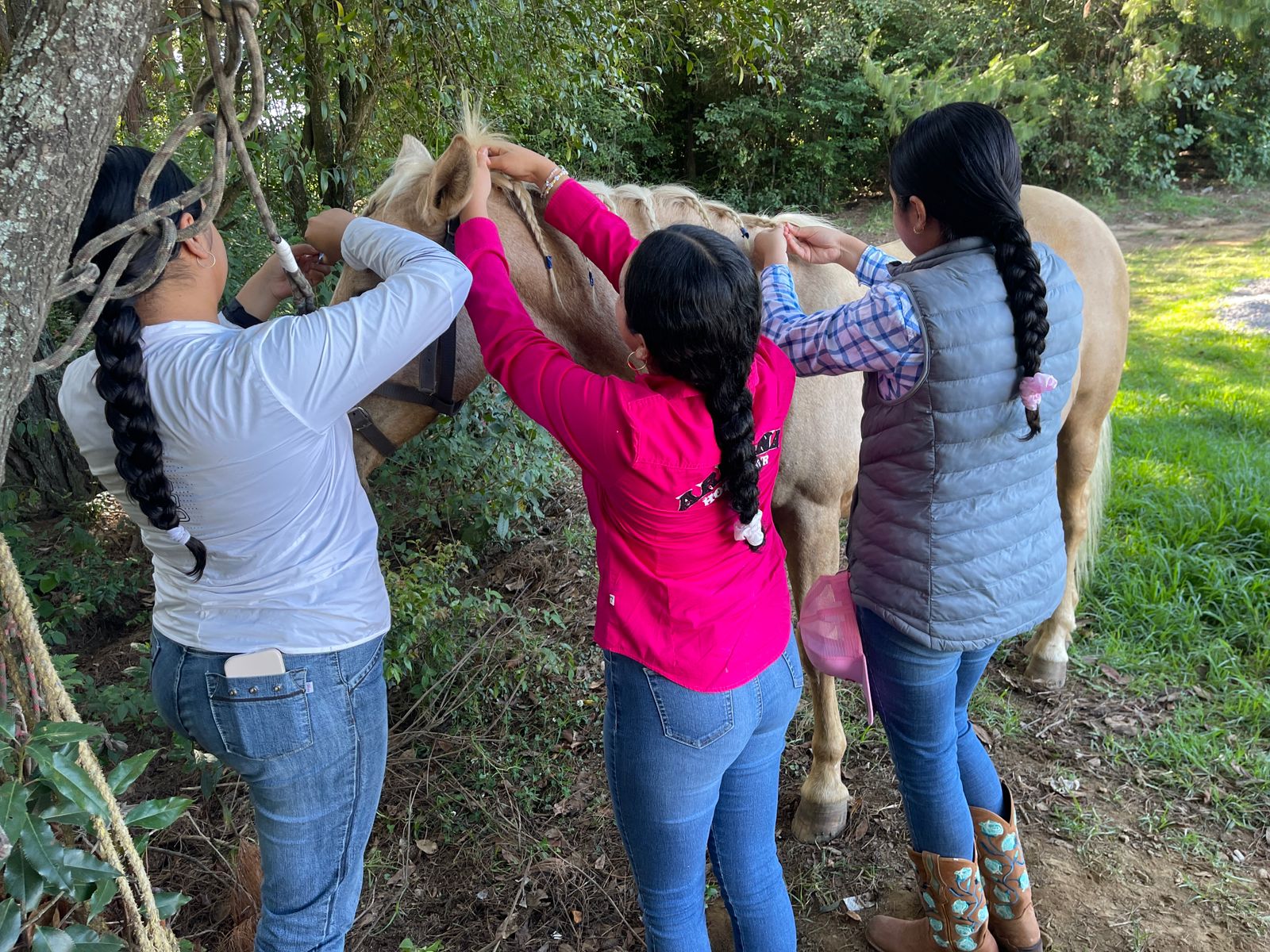 Clase en LA CABALLERÍA
