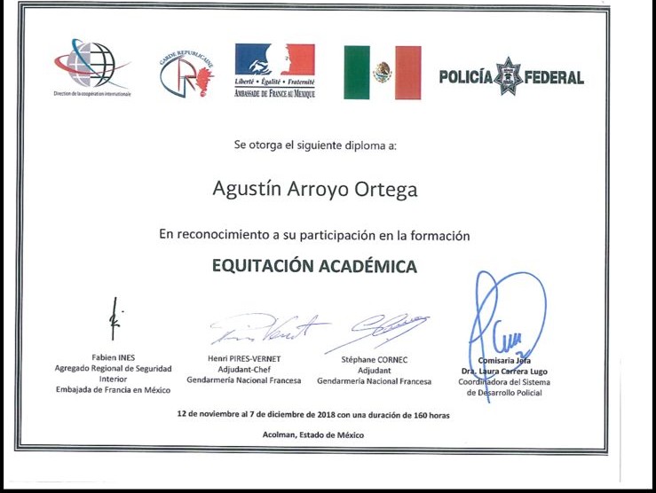 Adiestramiento para caballos en LA CABALLERÍA